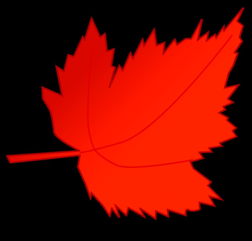 Leaf Clip Art No Background Bing images Leaf Clip Art No Background Bing images