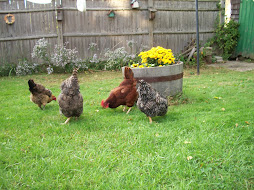 Girls at Snack Time