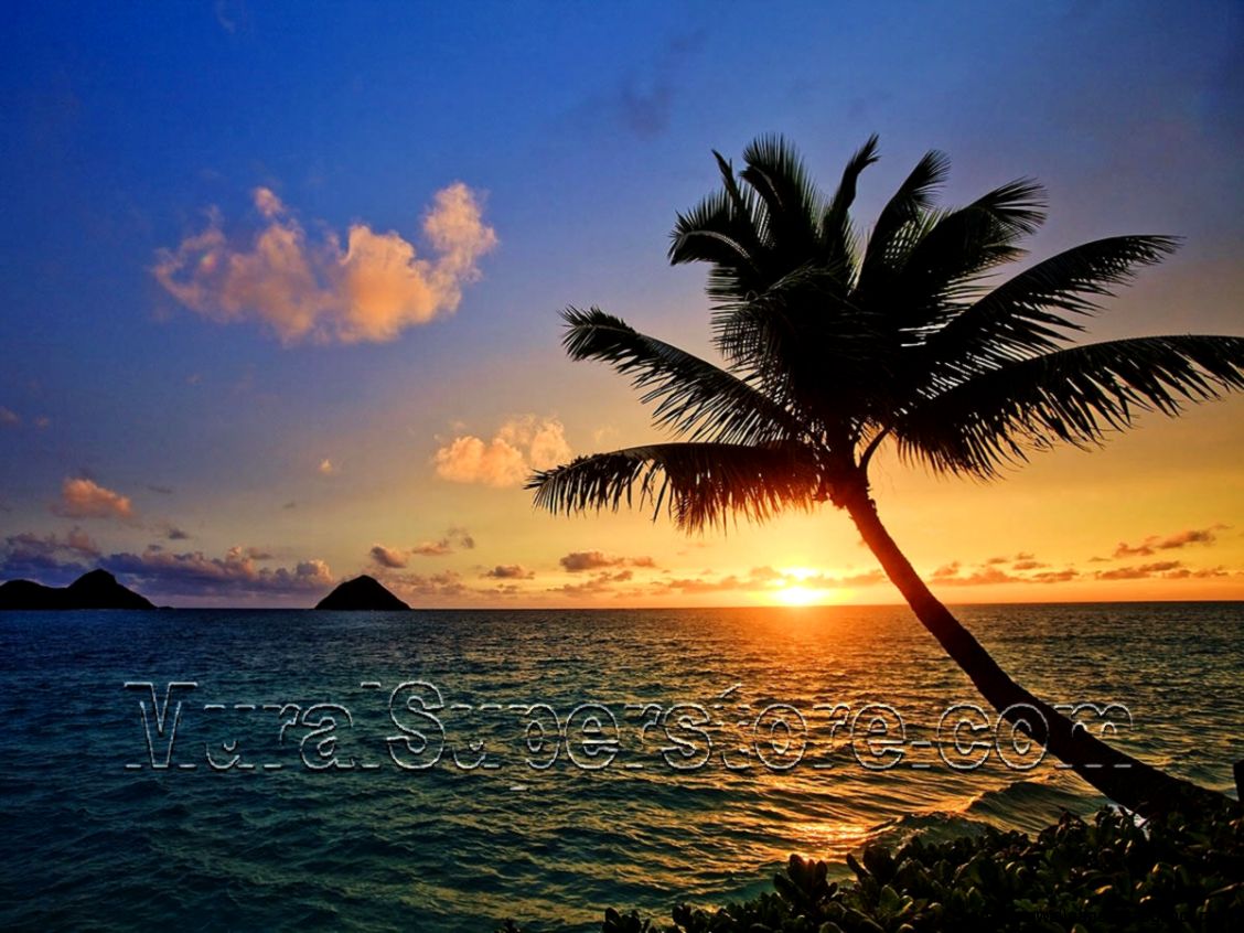 Tropical Beach Hammock Sunset