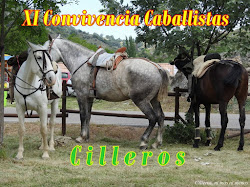 XI CONVIVENCIA DE CABALLISTAS