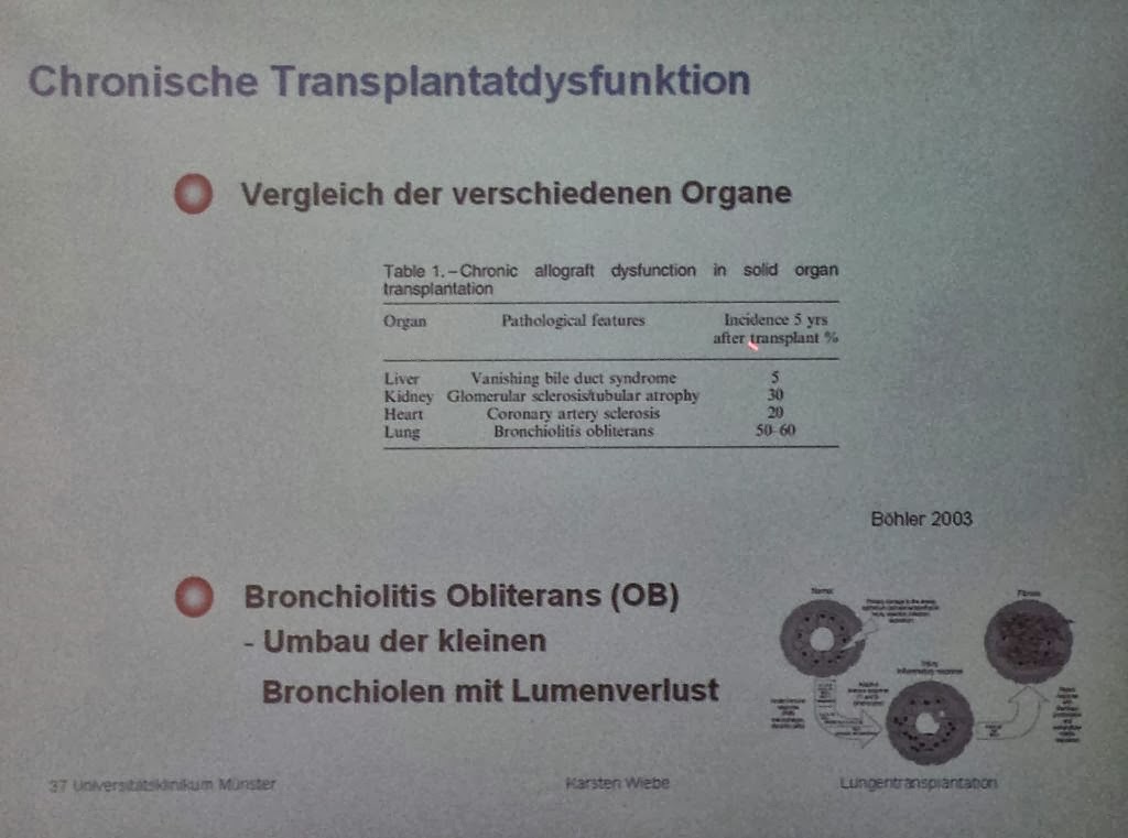 Oliver Obst Aktuelles Seite 59