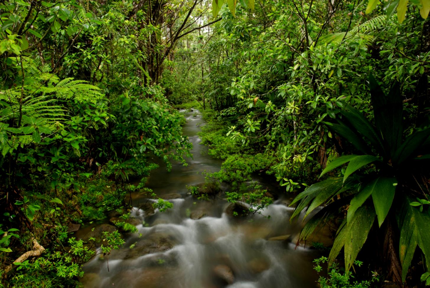 Connecticut Audubon Society Young Researchers Explore Costa Rican Connecticut Audubon Society Young Researchers Explore Costa Rican