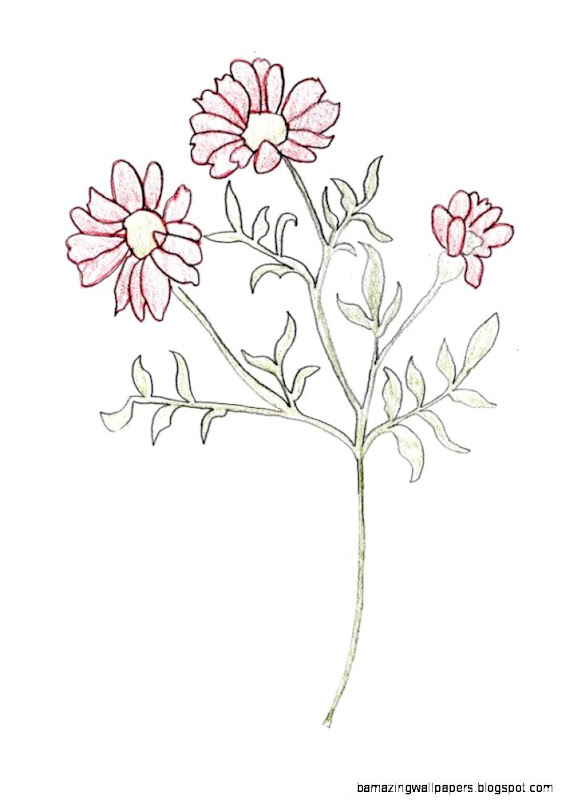 Flowers Sketch by Booksprout on DeviantArt Flowers Sketch by Booksprout on DeviantArt