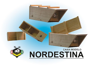 Caixa Para Abelhas Nativas - Modelo Nordestina 12x40