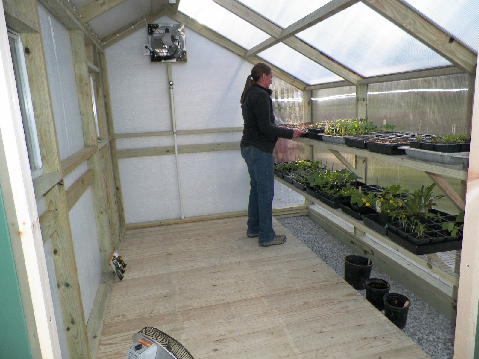 Simple Life The New Greenhouse