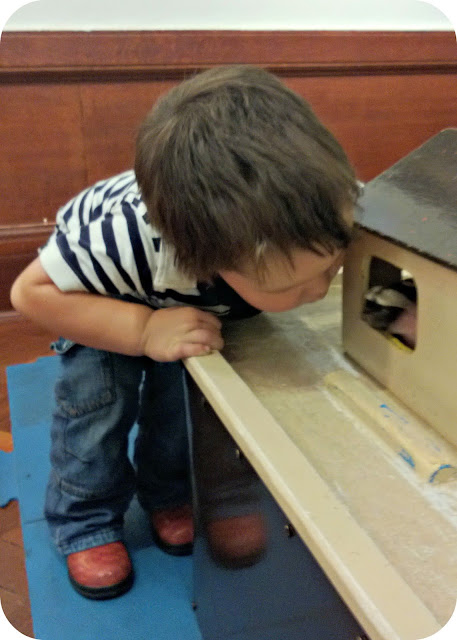 Small boy Playing with a Noah's Ark toy The Gallery