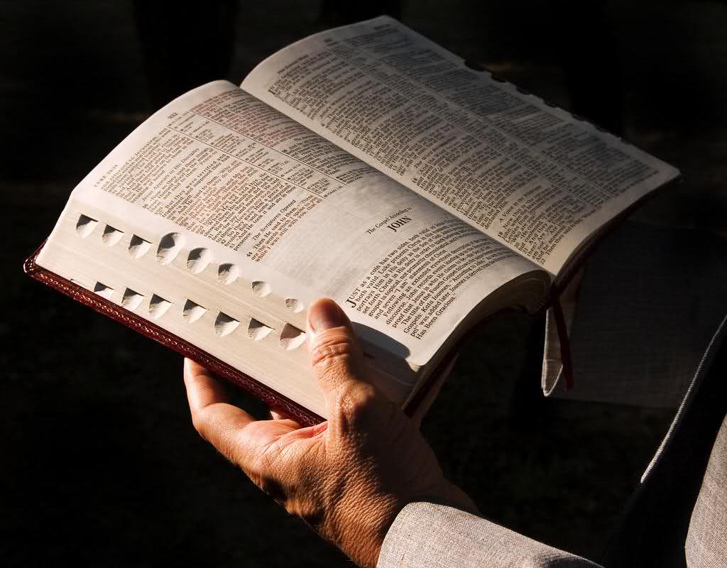 backlink pay per click art