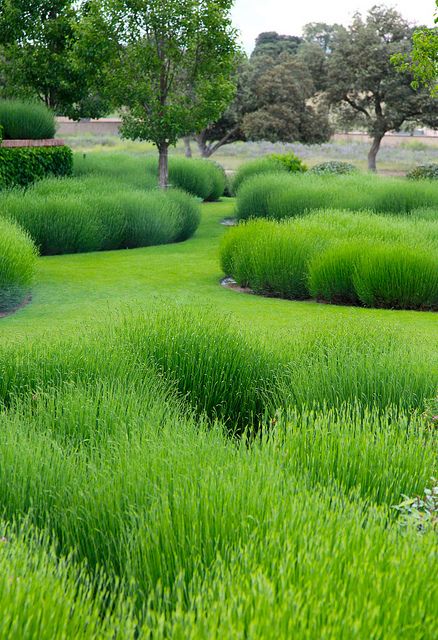 El Rincón Vintage de Karmela: El arte del Paisajismo, o como los