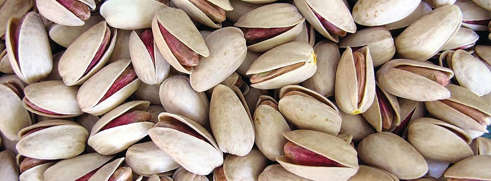 Pistachio Nut calorie and benefit Hiva pistachio companyBest Iranian Pistachio
