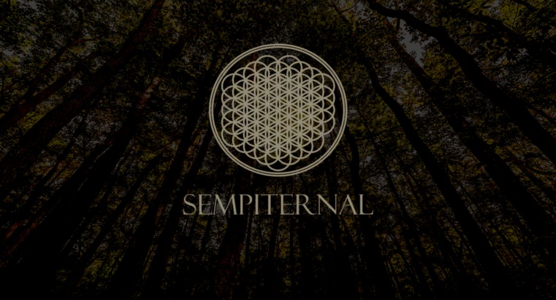 Bring Me The Horizon Sempiternal Wallpaper by ToaMeiko on DeviantArt Bring Me The Horizon Sempiternal Wallpaper by ToaMeiko on DeviantArt