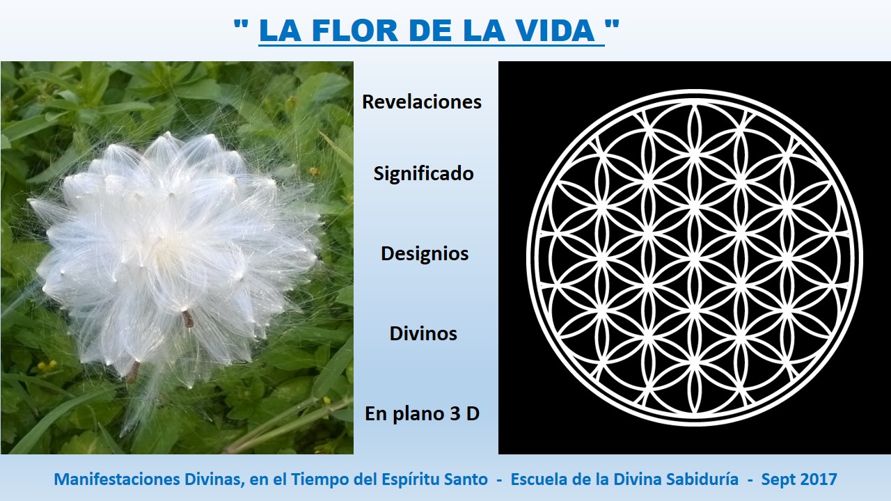 La Flor de la Vida - en 3 D .. Manifestaciones en el Tiempo del Espíritu Santo.