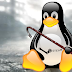 Get Steamy anywhere: Steam announced for Linux, beta update features remote downloads