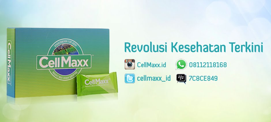 CellMaxx Malang