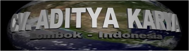 adityakarya.CV