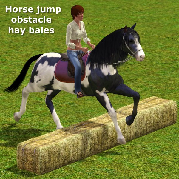 Simming in Magnificent Style Horse jump obstacle hay bales