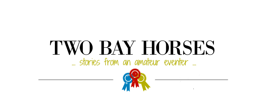 TWO BAY HORSES