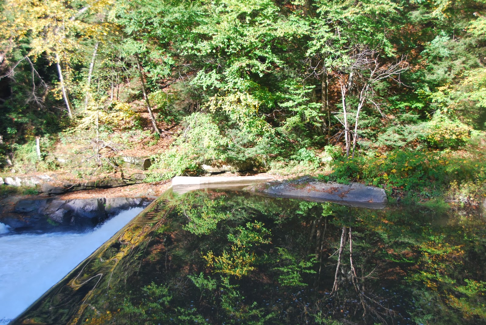 McConnells Mill State Park Fall