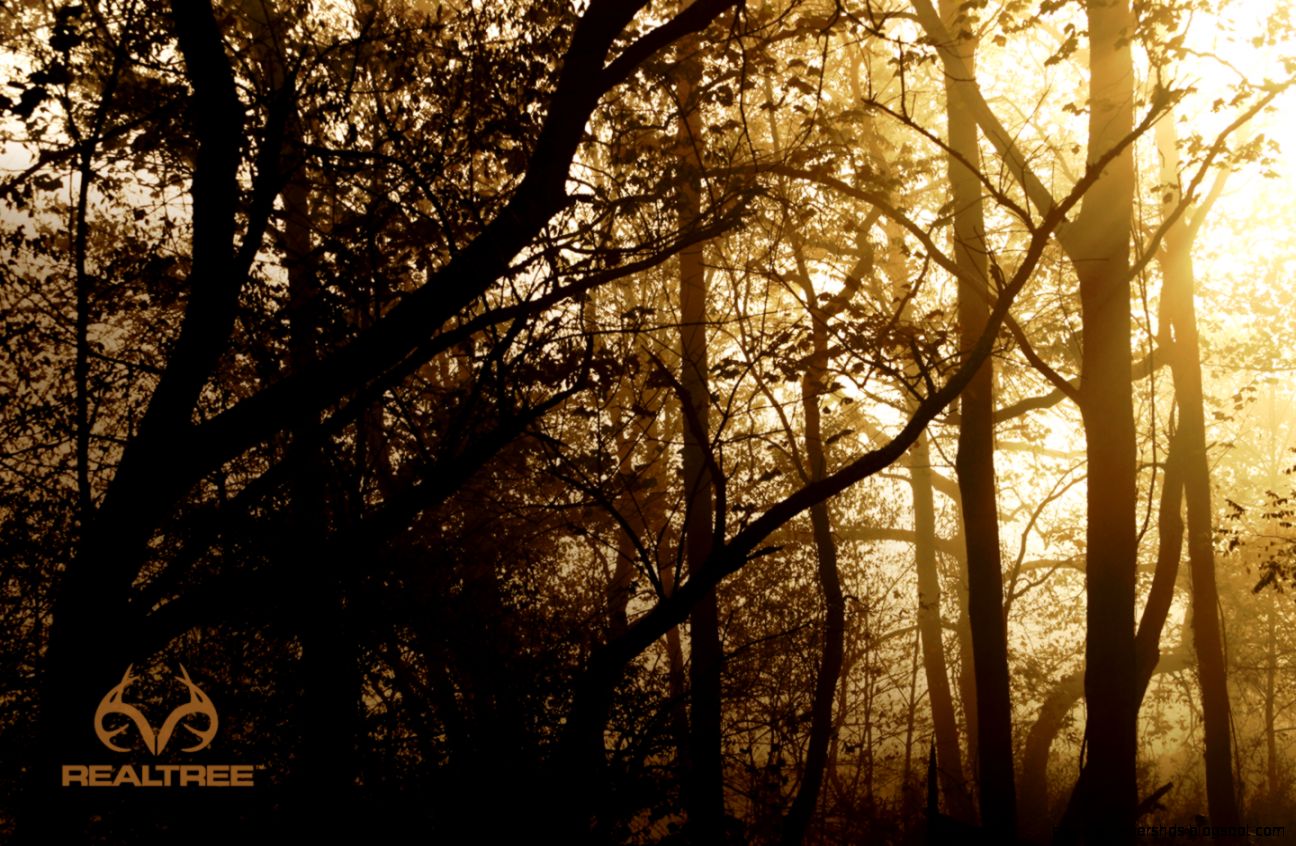 Realtree wallpaper 1440x900 80913 Realtree wallpaper 1440x900 80913