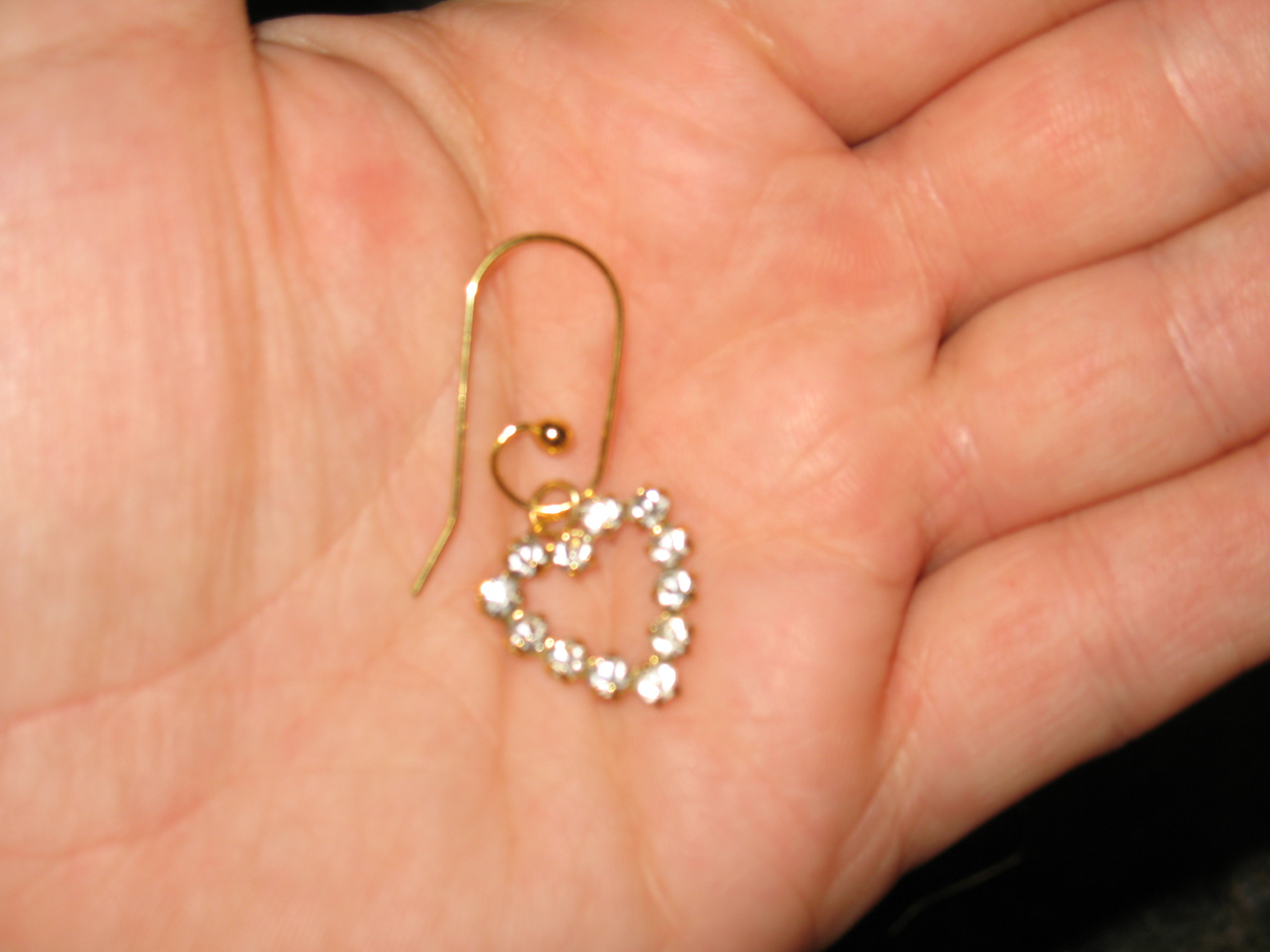 Fish Hook Earring Converter Review Central Minnesota Mom