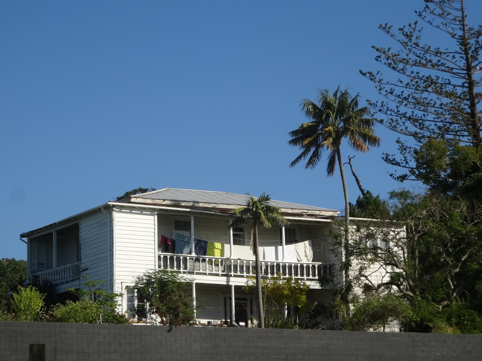 Arty Green in Paradise Omapere and Opononi Small Coastal Settlements