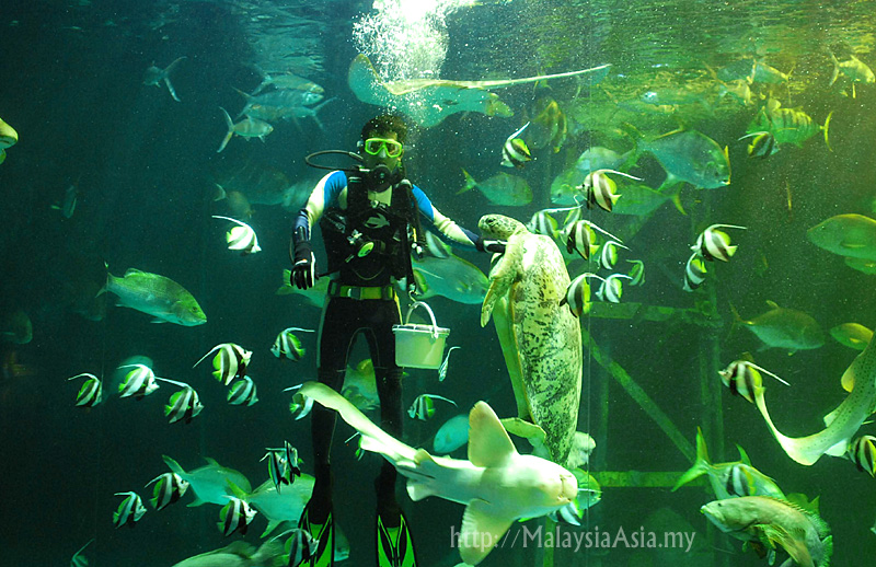 songkhla aquarium