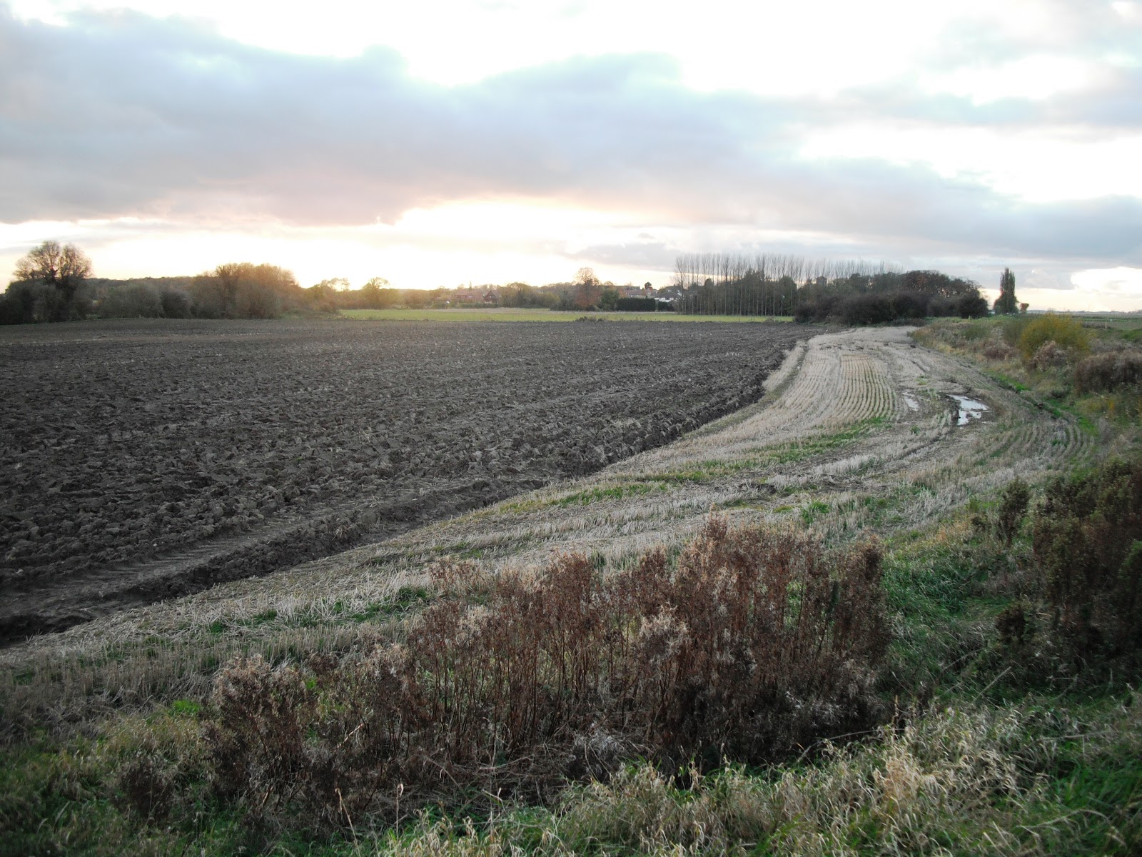 Tesco+voucher+codes+september