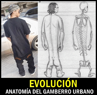 moda evolución gamberro