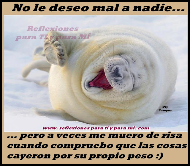 Ver las imágenes de origen