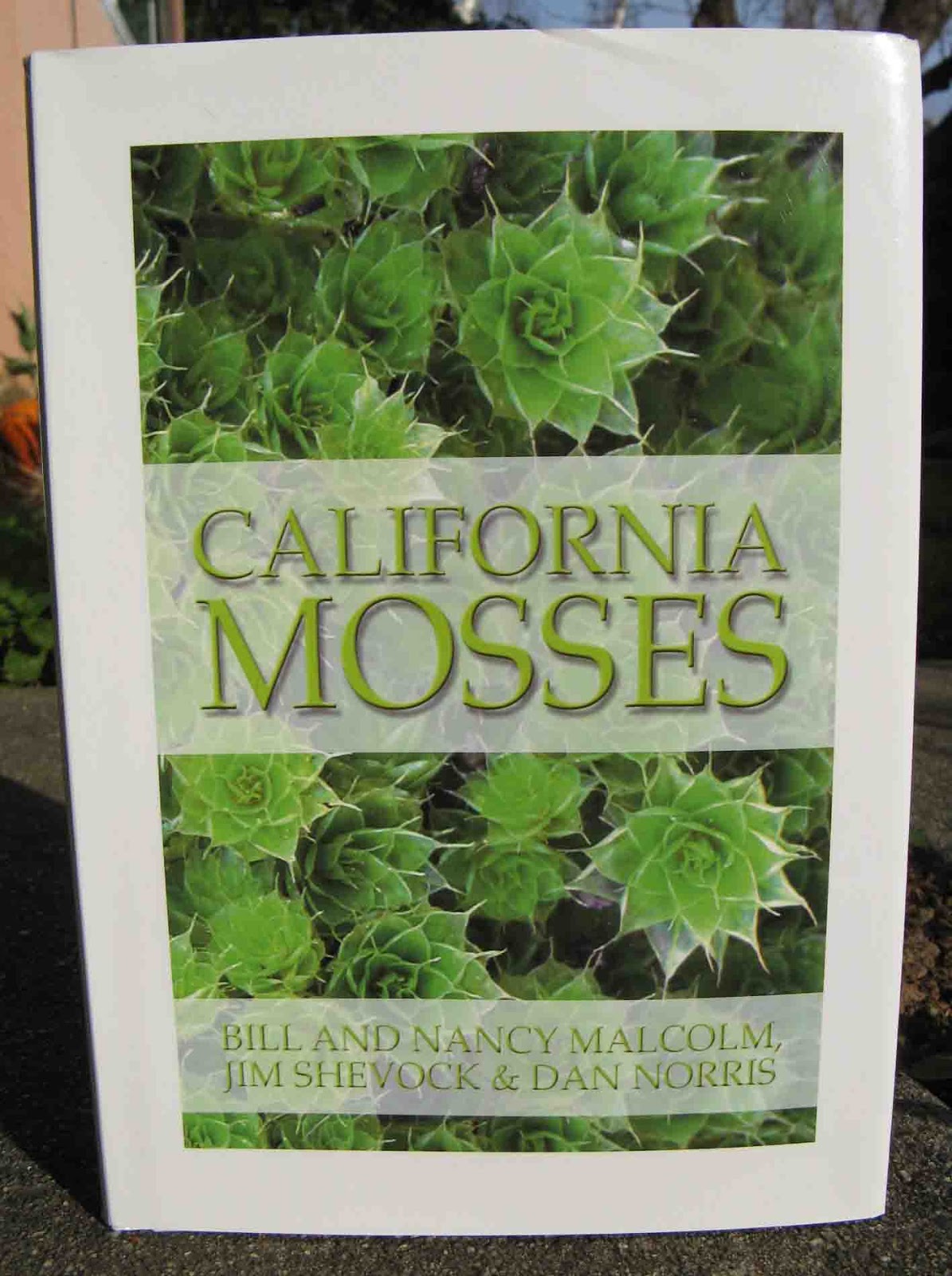 Moss Plants and More Want to learn the California mosses?