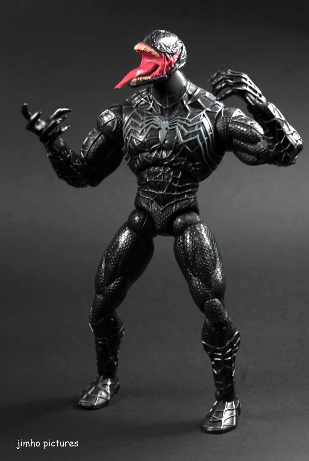 DAILY TOYZ: Portrait of Toyz : Venom