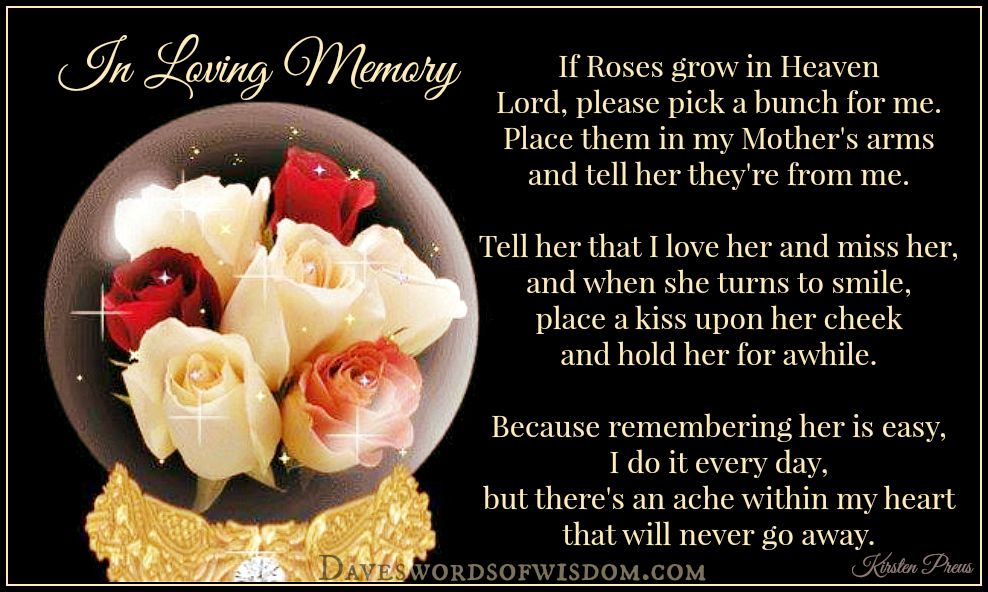 If Roses Grow In heaven.