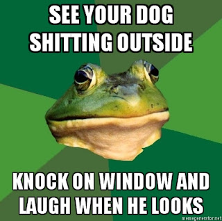 foul+bachelor+frog+dog+shitting+outside.jpg