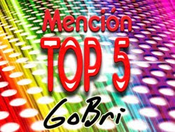 Iº Puesto - Mención Gobri