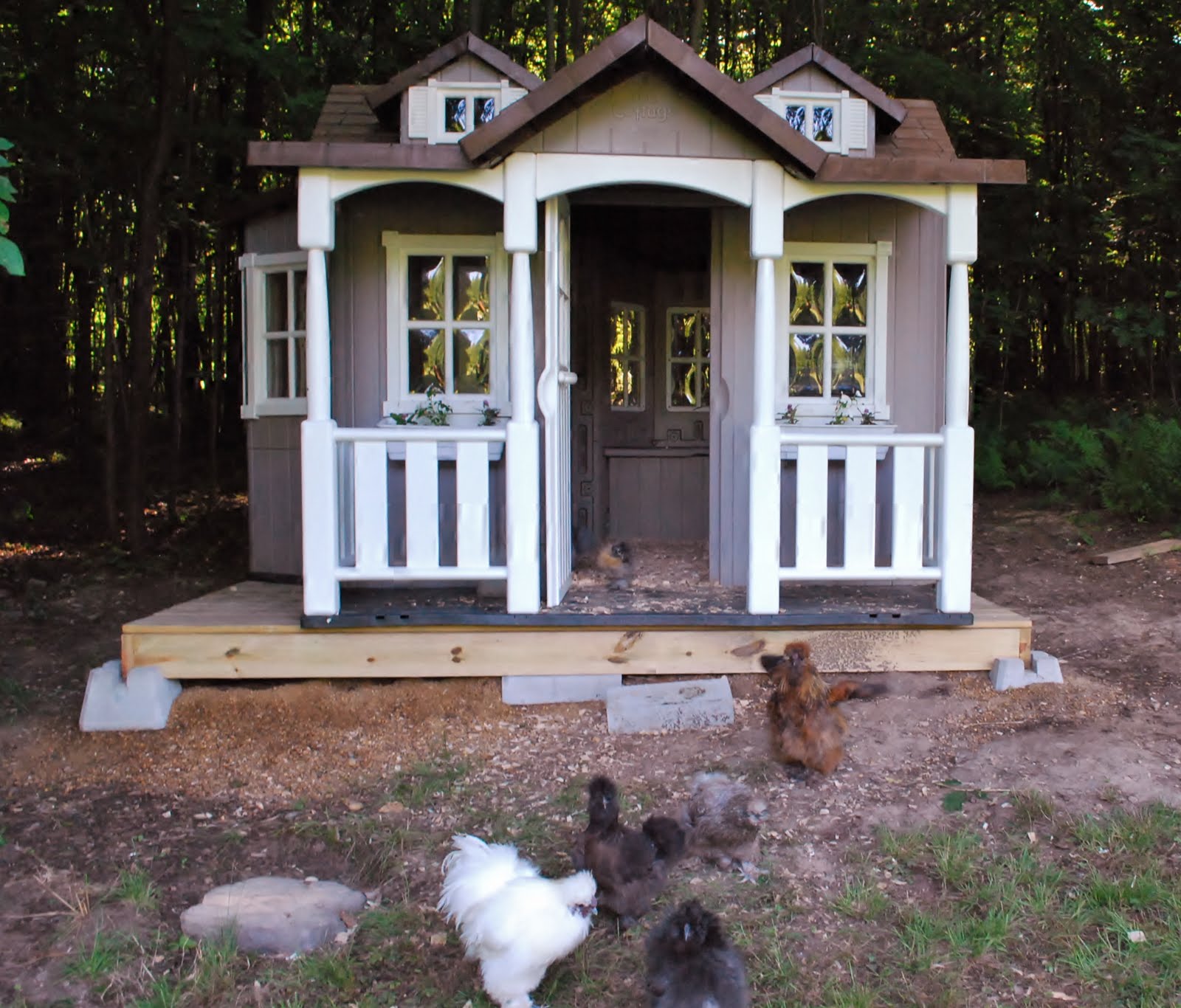 Silkie Manor & a new goose house! Murano Chicken Farm