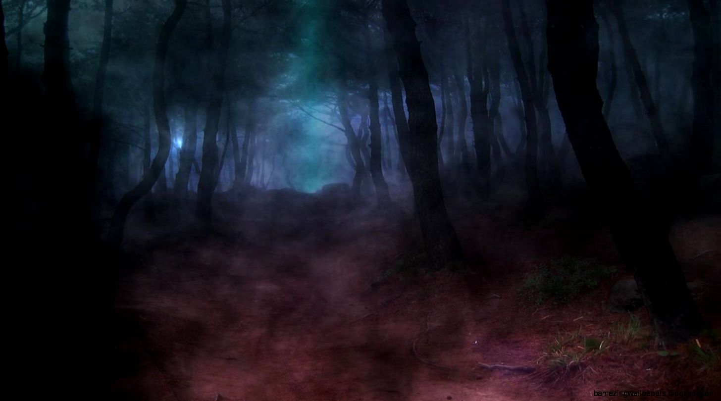 Dark wood forest path wallpaper 5889 High Quality and Dark wood forest path wallpaper 5889 High Quality and