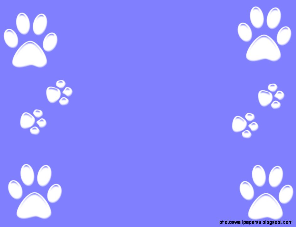 Paw Print Wallpaper