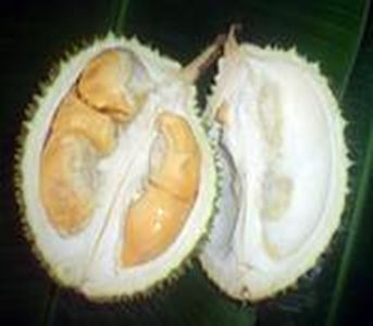 Durian Fruit Benefits - Tips Beautiful And Healthy