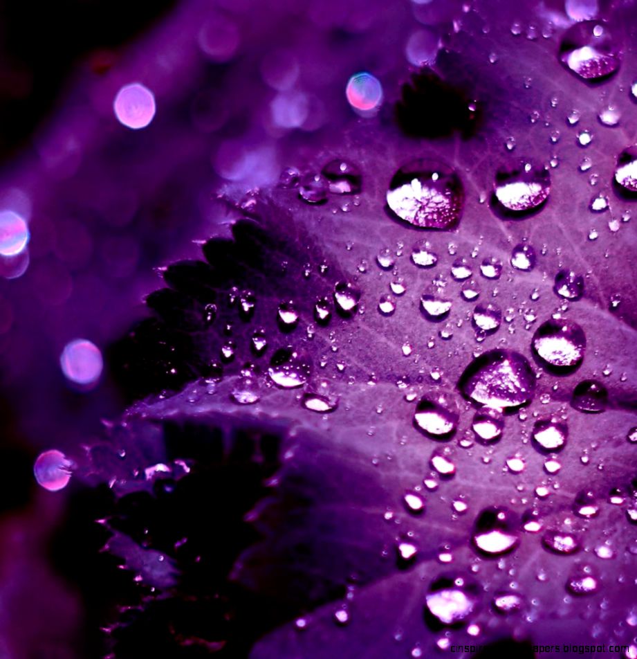 Purple Rain iPhone Wallpaper Purple Rain iPhone Wallpaper