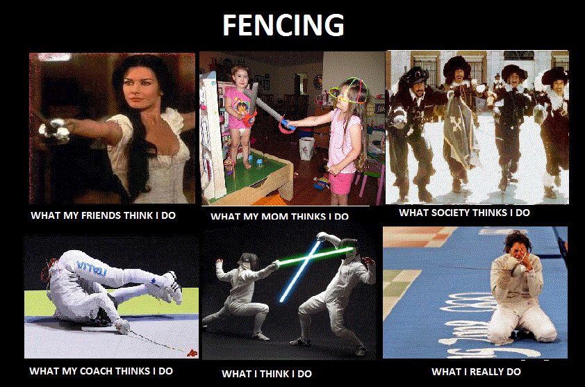 my_fencing.gif