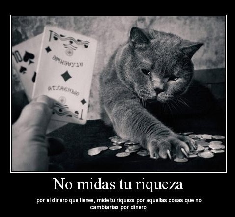 Resultado de imagen de frases de dinero y poder