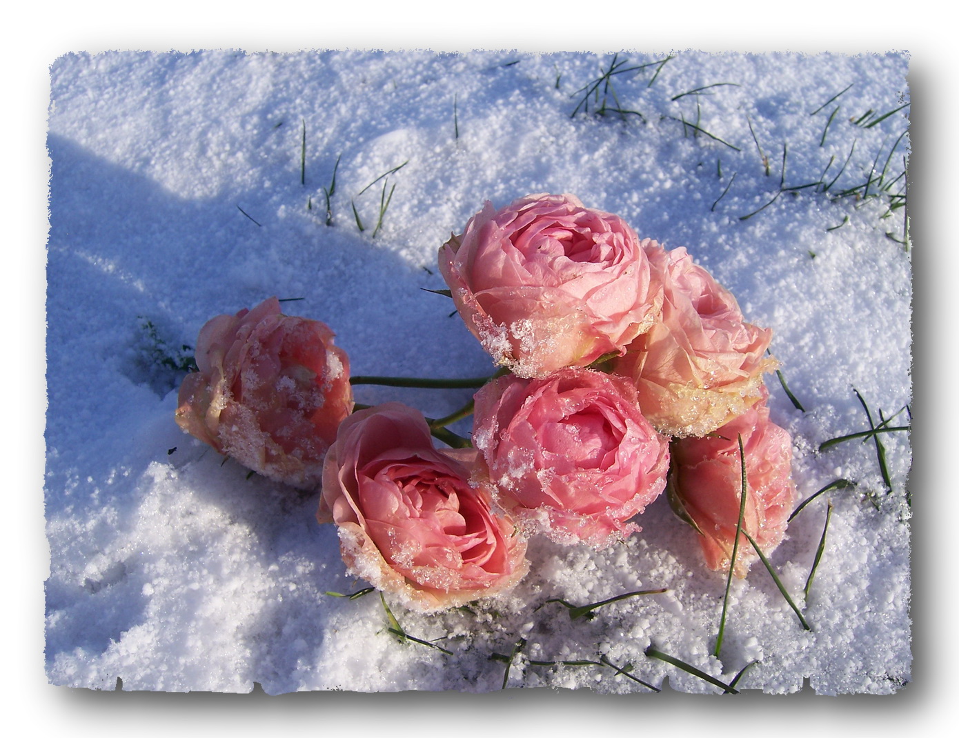 Tour De L Est 6 Tag Von Rostock Nach Zingst