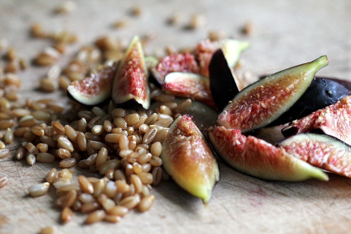 Kitchen by Aubergine Rye Berry Salad