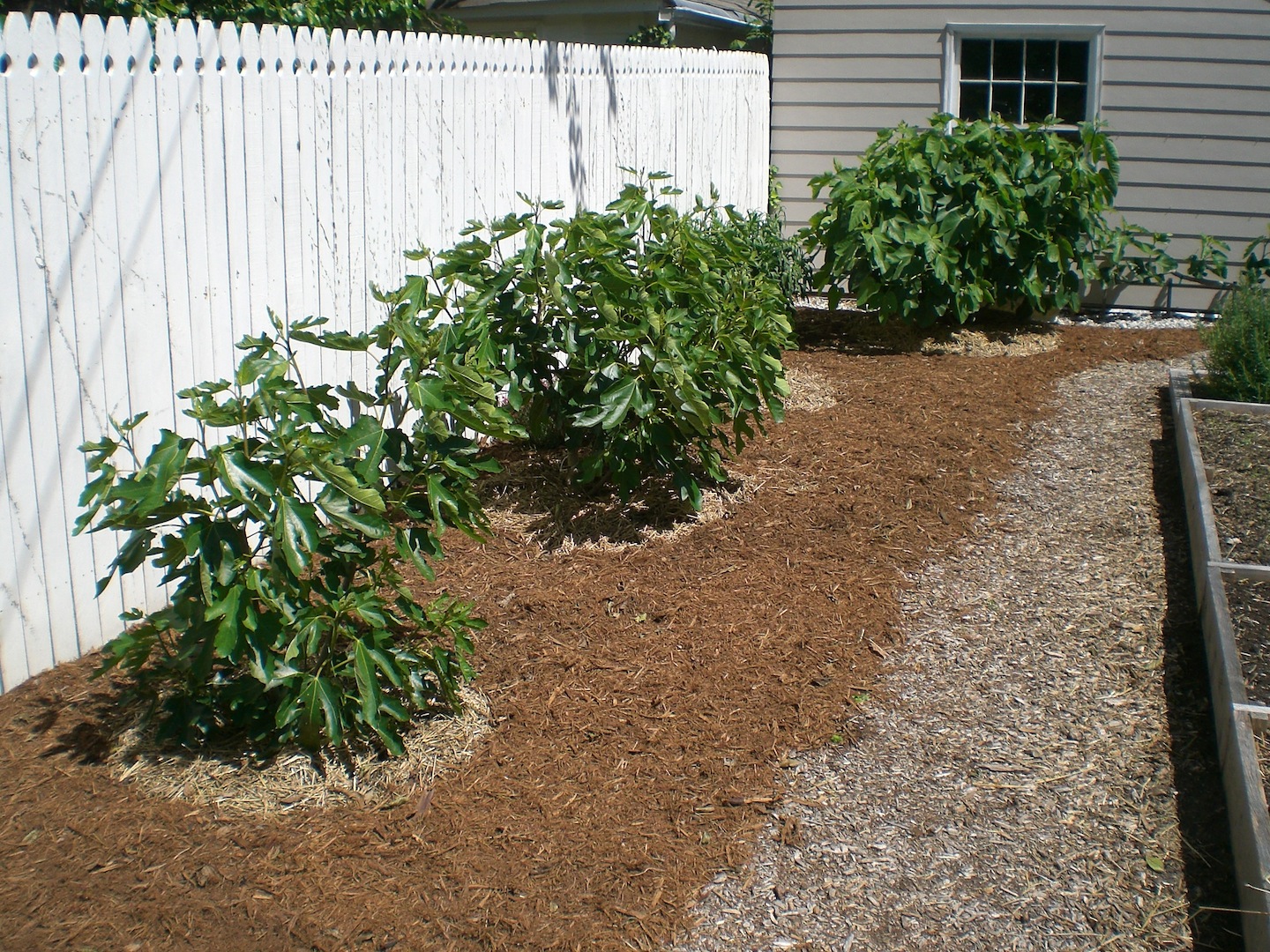 .09 Acres Mulch Ado About Nothing