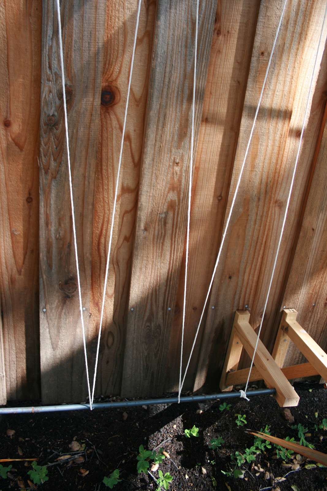 The Polished Pebble Sweet Pea Trellis