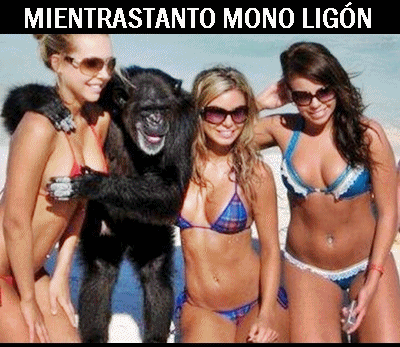 mientrastanto mono ligon chicas