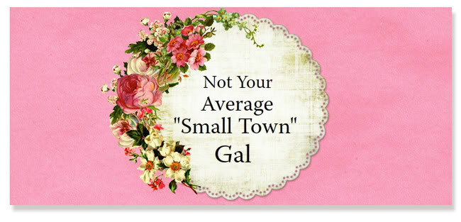 Not Your Average "Small Town" Gal