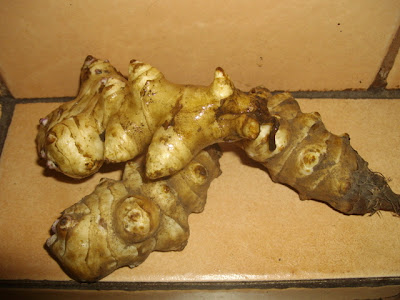 eight acres: Jeruselum artichokes