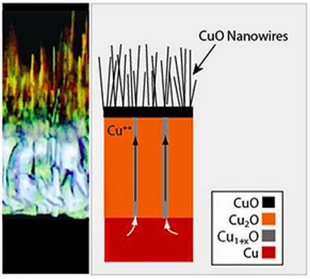 Copper nanowires solar cells