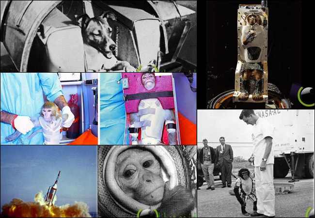 10 Penumpang Pesawat Aneh berangkat ke Luar Angkasa 10 Penumpang Pesawat Aneh berangkat ke Luar Angkasa