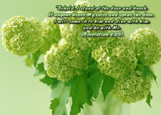 My Treasure Box Bible Verses Revelation 3 20